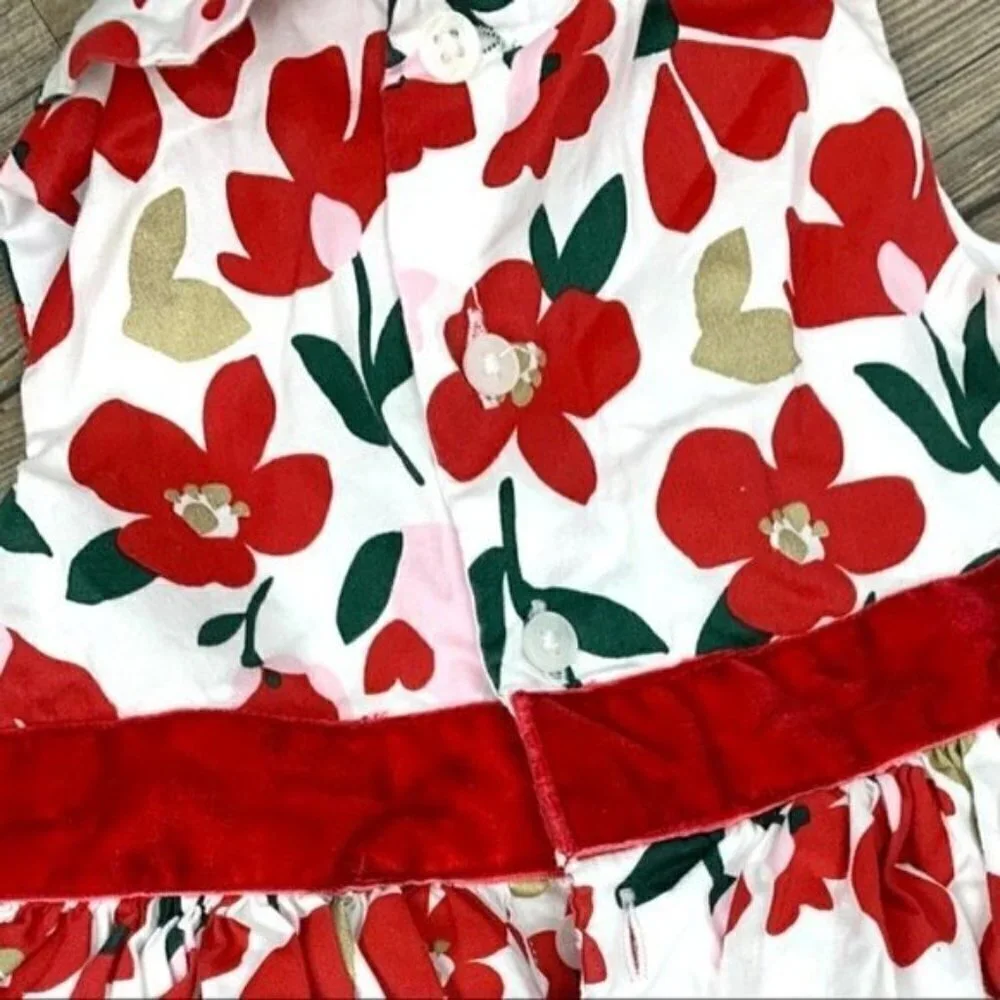 Little Girl Red Festive Floral Dress